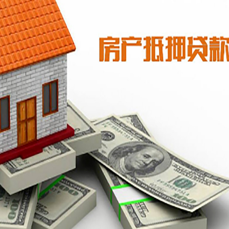 和布克赛尔房产抵押有哪些特征和限制?